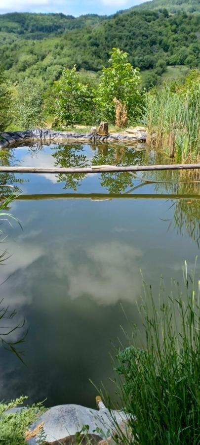 Casa Cu Muri Tîrgu Ocna Esterno foto